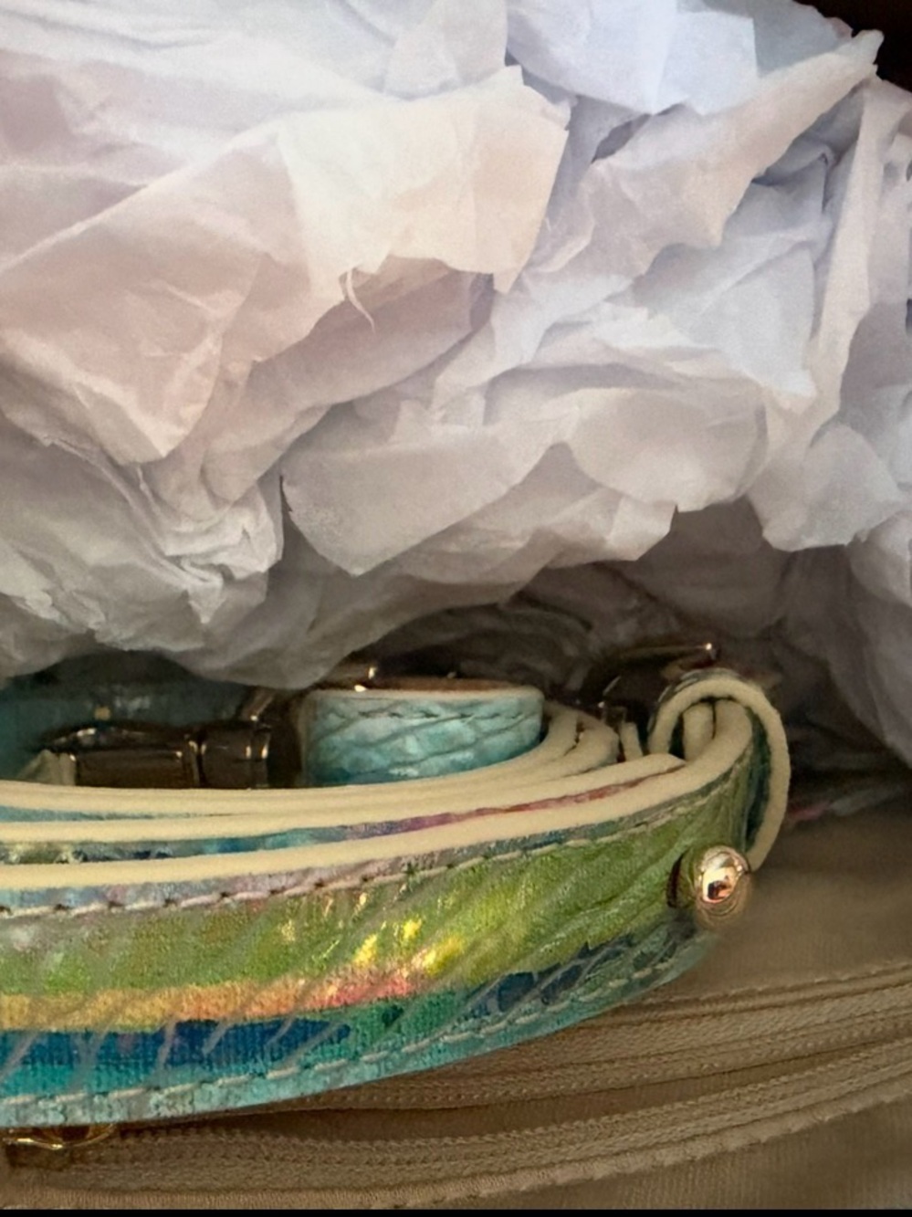HTF BRAHMIN SMALL CAROLINE STAYCATION SATCHEL BAG NWT TROPIC FISH - Picture 13 of 13